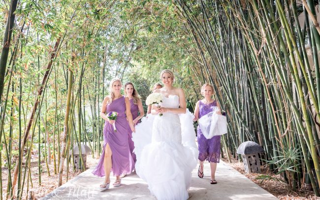Tamara & Jody - Sandos Caracol Eco Resort Wedding Photography