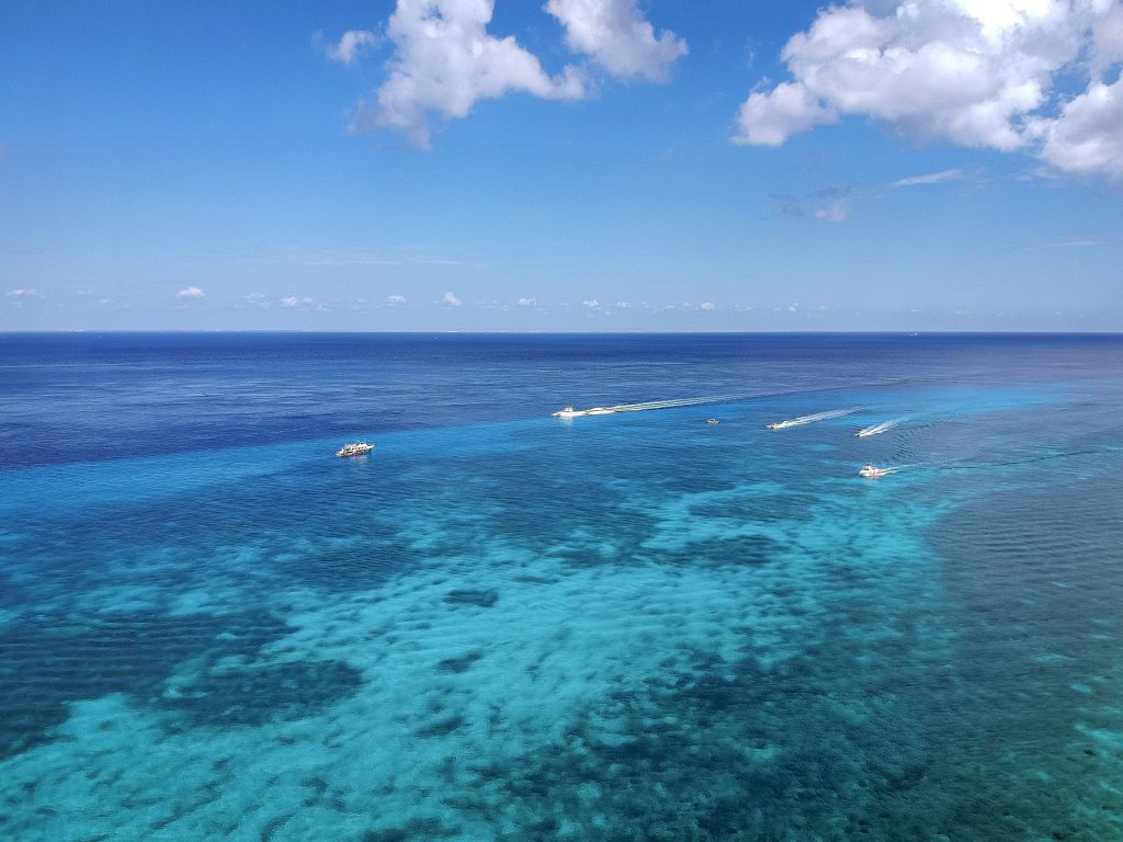 Picture Perfect Cozumel