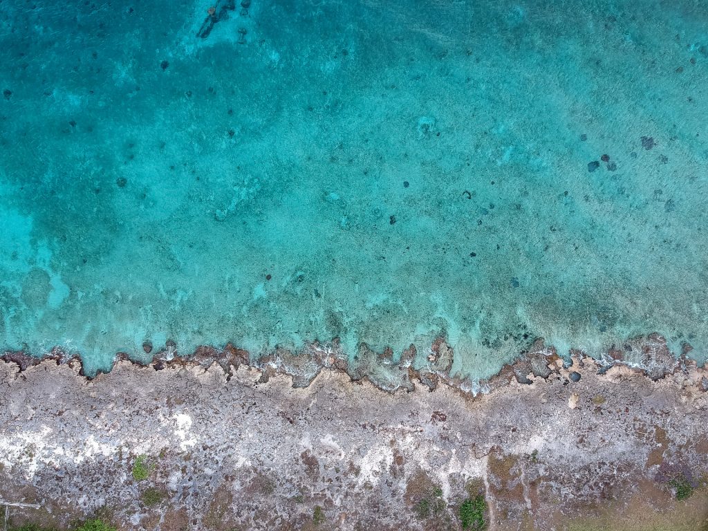 Picture Perfect Cozumel