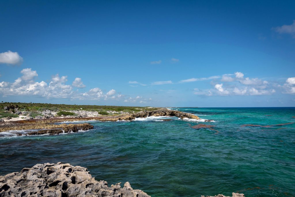 Picture Perfect Cozumel