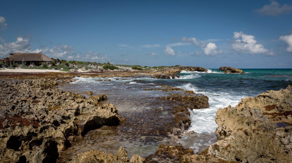 Picture Perfect Cozumel