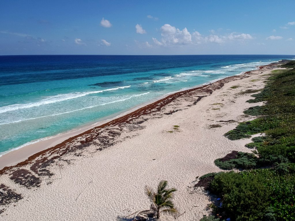 Picture Perfect Cozumel