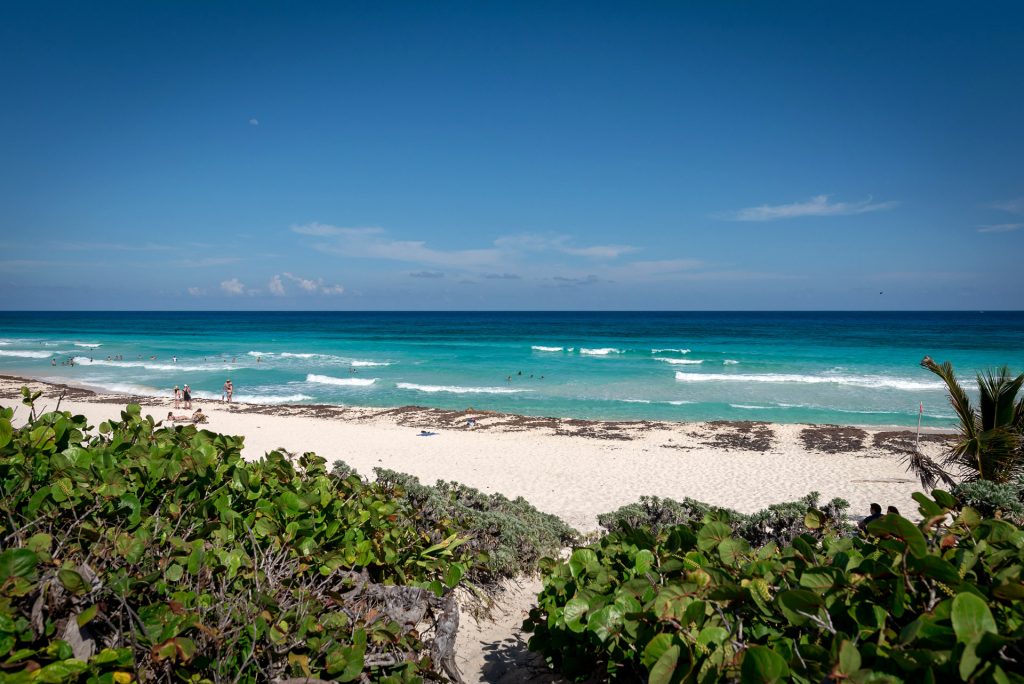 Picture Perfect Cozumel