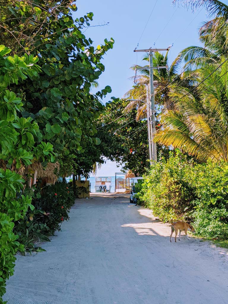 Caye Caulker, Belize